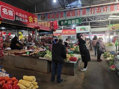 農殘快檢守護都江堰市民舌尖上的安全 家用電器銷售新亮點