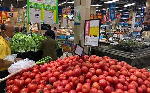 合肥市市場(chǎng)監(jiān)管局開(kāi)展“五一”期間商品零售場(chǎng)所與食用農(nóng)產(chǎn)品零售點(diǎn)塑料購(gòu)物袋銷售行為專項(xiàng)檢查